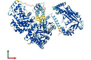 AlphaFold protein structure predicition of Mouse Recombinant Mtr Protein, UniprotID A6H5Y3