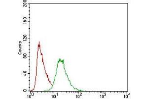 Flow cytometric analysis of Hela cells using PON1 mouse mAb (green) and negative control (red). (PON1 抗体  (AA 20-155))