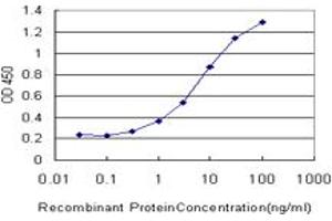 Detection limit for recombinant GST tagged GRK1 is approximately 0. (GRK1 抗体  (AA 51-150))