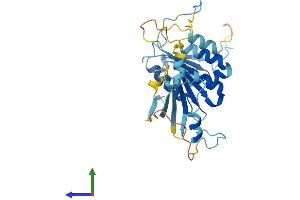 Protein Structure (PS) image for Retinoic Acid Induced 12 (RAI12) (AA 1-300) protein (His tag) (ABIN7560354)