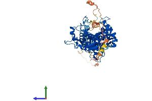 Protein Structure (PS) image for Arginyltransferase 1 (ATE1) (AA 1-518) protein (His tag) (ABIN7552463)
