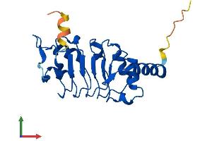 AlphaFold protein structure predicition of Human Recombinant LRRC51 Protein, UniprotID Q96E66