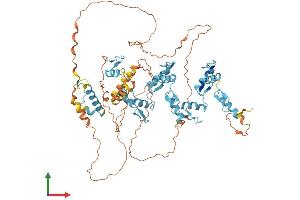 Protein Structure (PS) image for Zinc Finger Protein 333 (ZNF333) (AA 1-665) protein (His tag) (ABIN7545460)