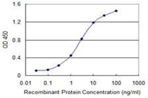 Detection limit for recombinant GST tagged CHURC1 is 0. (CHURC1 抗体  (AA 1-112))