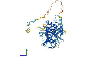 Protein Structure (PS) image for Neutrophil Cytosol Factor 1 (NCF1) (AA 1-390) protein (His tag) (ABIN7549691)