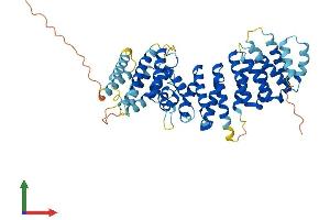 Protein Structure (PS) image for TELO2 Interacting Protein 2 (TTI2) (AA 1-512) protein (His tag) (ABIN7558585)