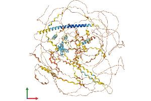 AlphaFold protein structure predicition of Mouse Recombinant Col17a1 Protein, UniprotID Q07563