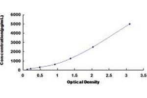 Typical standard curve (OLR1 ELISA 试剂盒)