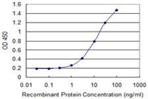 Detection limit for recombinant GST tagged PER3 is 0. (PER3 抗体  (AA 1105-1201))