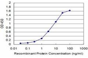 Detection limit for recombinant GST tagged HOXB7 is approximately 0. (HOXB7 抗体  (AA 55-120))