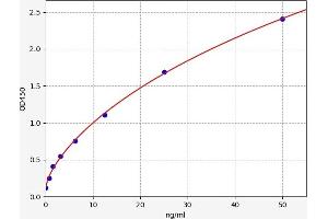 Typical standard curve (STAT4 ELISA 试剂盒)