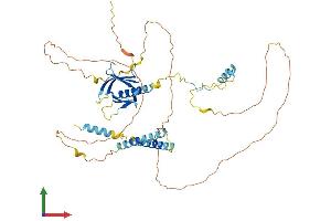 AlphaFold protein structure predicition of Mouse Recombinant Plekho2 Protein, UniprotID Q8K124