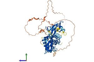 Protein Structure (PS) image for Protein Kinase, AMP-Activated, gamma 3 Non-Catalytic Subunit (PRKAG3) (AA 1-489) protein (His tag) (ABIN7551917)
