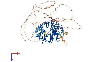 PRKAG2 Protein (AA 1-569) (His tag)