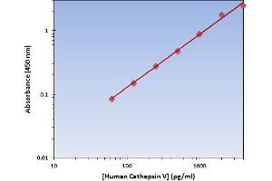 This is an example of what a typical standard curve will look like. (Cathepsin L2 ELISA 试剂盒)