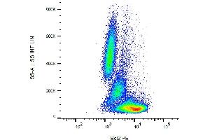 Flow cytometry analysis (intracellular staining) of human peripheral blood with anti-Bcl2 (Bcl-2/100) PE.