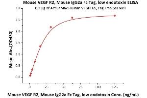 Immobilized Human VEGF165, Tag Free (Hied) (ABIN2181903,ABIN2693608,ABIN3071747) at 2 μg/mL (100 μL/well) can bind Mouse VEGF R2, Mouse IgG2a Fc Tag, low endotoxin (ABIN5674651,ABIN6809982) with a linear range of 1-31 ng/mL (QC tested).