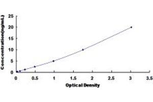 Typical standard curve (RBM38 ELISA 试剂盒)