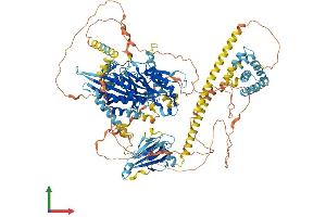 Protein Structure (PS) image for Kinesin Family Member 1C (KIF1C) (AA 1-1100) protein (His tag) (ABIN7562261)
