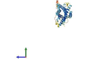 AlphaFold protein structure predicition of Human Recombinant CCRL2 Protein, UniprotID O00421 (CCRL2 Protein (AA 1-344) (His tag))
