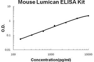 Mouse Lumican PicoKine ELISA Kit standard curve (LUM ELISA 试剂盒)