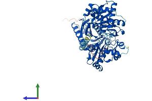 Protein Structure (PS) image for Glycerol Kinase 2 (GK2) (AA 1-554) protein (His tag) (ABIN7556265)