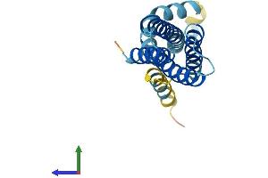 Protein Structure (PS) image for Signal Sequence Receptor gamma (SSRg) (AA 1-185) protein (His tag) (ABIN7546418)