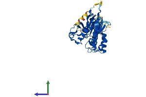 AlphaFold protein structure predicition of Mouse Recombinant Mppe1 Protein, UniprotID Q80XL7