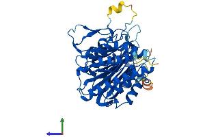 Protein Structure (PS) image for Secernin 3 (SCRN3) (AA 1-424) protein (His tag) (ABIN7546008)