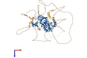Salt-Inducible Kinase 1 (SIK1) (AA 1-783) protein (His tag)