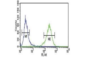 Flow Cytometry (FACS) image for anti-Aryl Hydrocarbon Receptor (AHR) (AA 555-582) antibody (ABIN3030025)