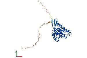 Protein Structure (PS) image for RAB5A, Member RAS Oncogene Family (RAB5A) (AA 1-215) protein (His tag) (ABIN7555104)
