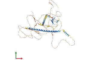 Protein Structure (PS) image for Activating Transcription Factor 6 (ATF6) (AA 1-656) protein (His tag) (ABIN7562144)
