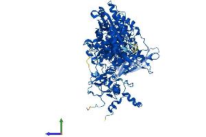 Protein Structure (PS) image for Dihydropyrimidine Dehydrogenase (DPYD) (AA 1-1025) protein (His tag) (ABIN7564587)
