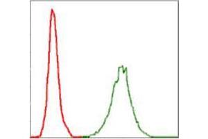 Flow cytometric analysis of Jurkat cells using NEFL mouse mAb (green) and negative control (red). (NEFL 抗体)