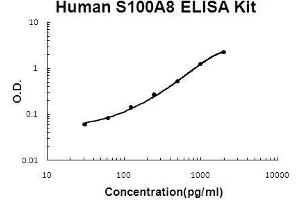 Human S100A8 PicoKine ELISA Kit standard curve (S100A8 ELISA 试剂盒)