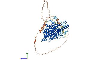 AlphaFold protein structure predicition of Mouse Recombinant Nlk Protein, UniprotID O54949 (Nemo-Like Kinase Protein (NLK) (AA 1-527) (His tag))