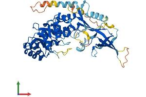 Protein Structure (PS) image for Arginine Decarboxylase (ADC) (AA 1-460) protein (His tag) (ABIN7552593)