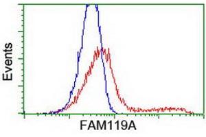 HEK293T cells transfected with either RC207629 overexpress plasmid (Red) or empty vector control plasmid (Blue) were immunostained by anti-FAM119A antibody (ABIN2455138), and then analyzed by flow cytometry. (FAM119A 抗体)