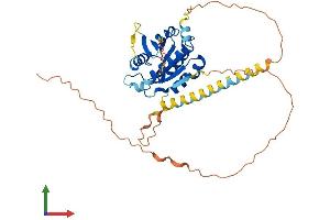 AlphaFold protein structure predicition of Mouse Recombinant Arl13a Protein, UniprotID Q9D416