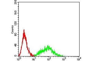 Flow cytometric analysis of HL-60 cells using CD141 mouse mAb (green) and negative control (red). (Thrombomodulin 抗体  (AA 297-505))