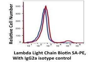 Flow Cytometry (FACS) image for anti-lambda Light Chain (Lambda-IgLC) antibody (Biotin) (ABIN6253019) (Lambda-IgLC 抗体  (Biotin))