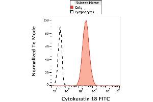 Intracellular staining of HeLa cells with anti-cytokeratin 18 (DC-10) FITC. (Cytokeratin 18 抗体  (FITC))