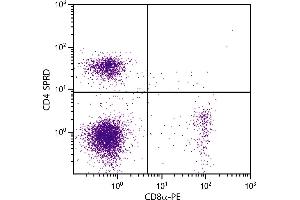 BALB/c mouse splenocytes were stained with Rat Anti-Mouse CD4-SPRD and Rat Anti-Mouse CD8α-PE. (CD4 抗体  (SPRD))