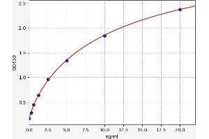 Typical standard curve (Dopamine d2 Receptor ELISA 试剂盒)