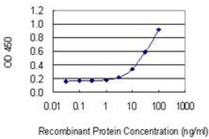 ELISA image for anti-Catenin, beta Like 1 (CTNNBL1) (AA 210-311) antibody (ABIN566018)