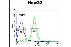 AIFM2 Antibody (C-term) (ABIN650623 and ABIN2846510) flow cytometric analysis of HepG2 cells (right histogram) compared to a negative control cell (left histogram). (AIFM2 抗体  (C-Term))