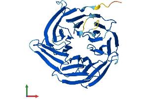 Protein Structure (PS) image for Nucleoporin 37kDa (NUP37) (AA 1-326) protein (His tag) (ABIN7560687)