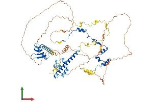 Protein Structure (PS) image for RAD21 Homolog (RAD21) (AA 1-631) protein (His tag) (ABIN7555146)