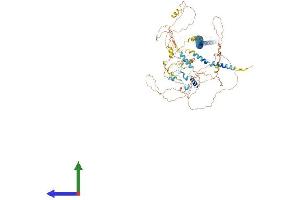 Protein Structure (PS) image for Inner Centromere Protein Antigens 135/155kDa (INCENP) (AA 1-918) protein (His tag) (ABIN7554190)